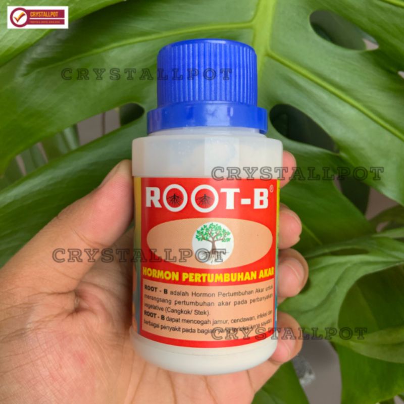 ROOT - B 100 GR pupuk pertumbuhan akar dan mencegah jamur pada tanaman