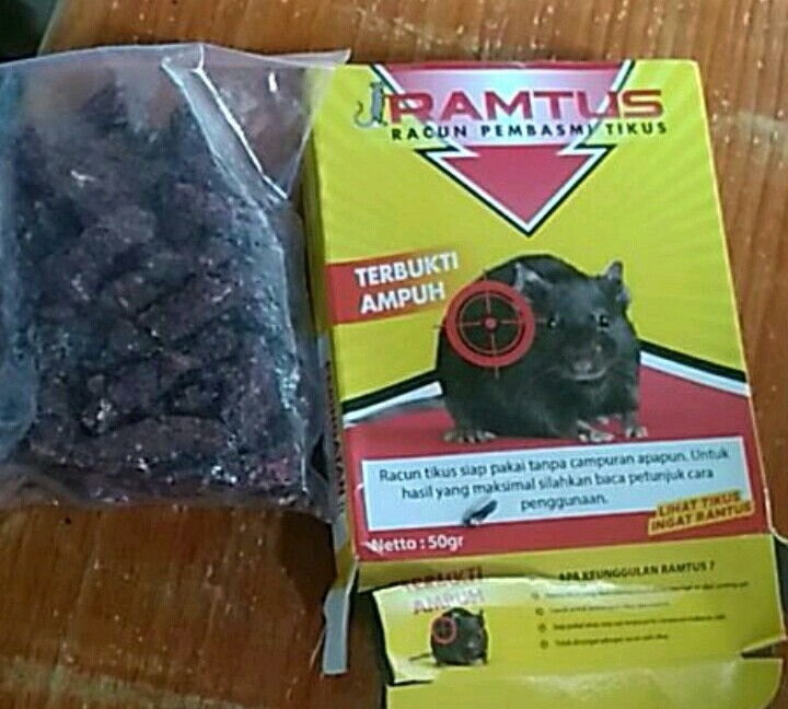 Ramtus Obat Racun Tikus Langsung Mati Kering Tidak Bau Sangat Ampuh Racun Pembasmi Tikus 1 Pack