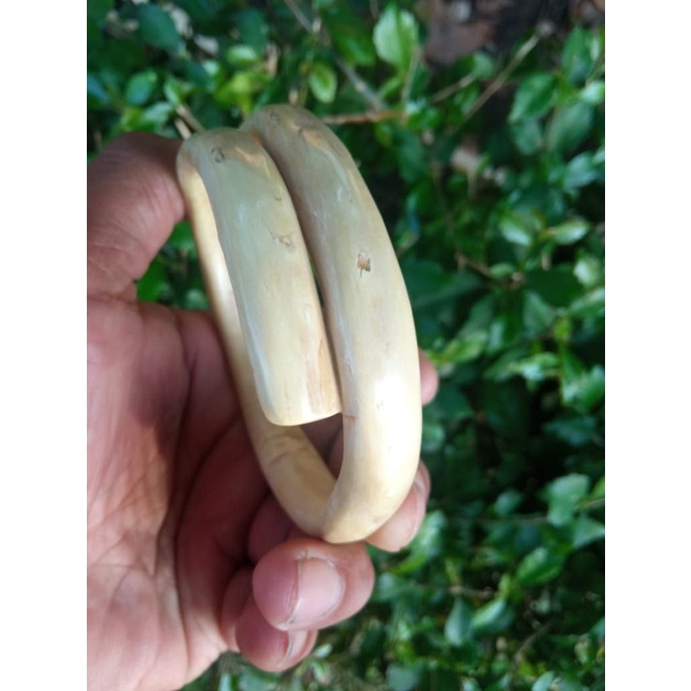 gelang akar bahar putih aslii