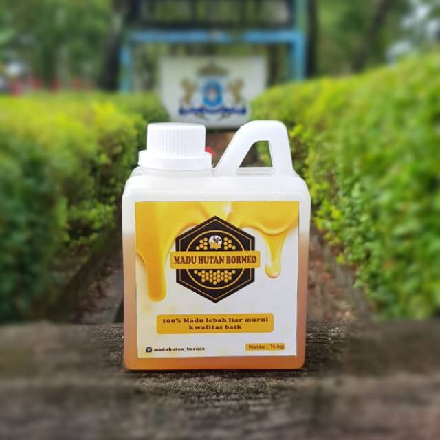 

Madu hutan borneo