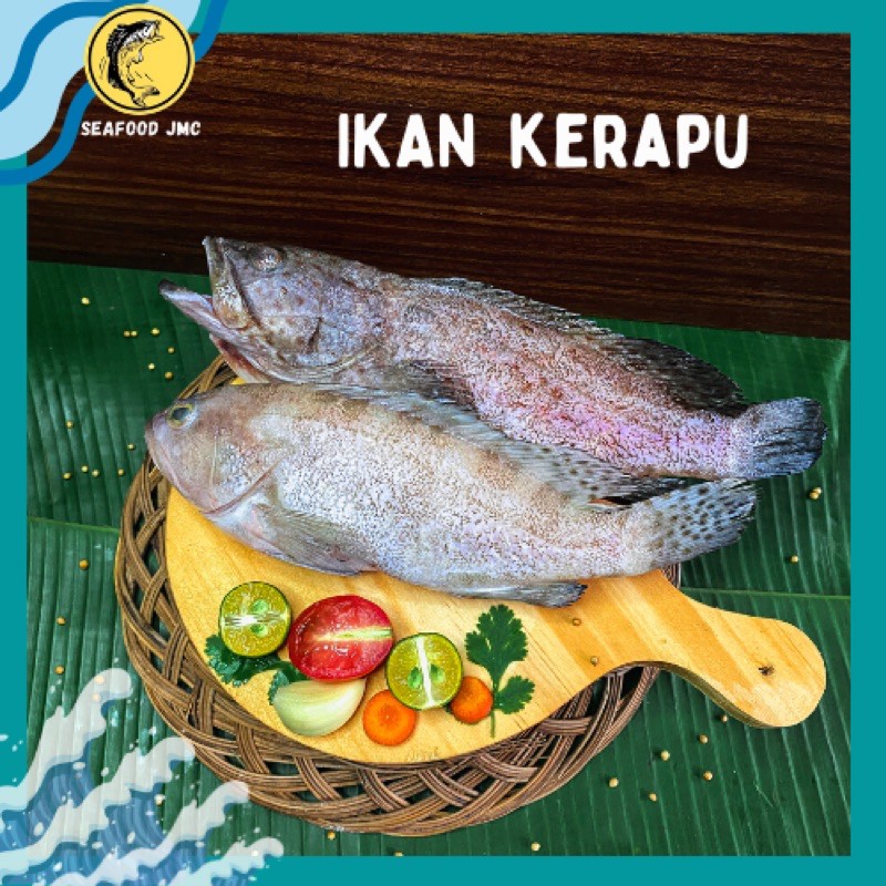 

Ikan Kerapu SEGAR BERGIZI / pack