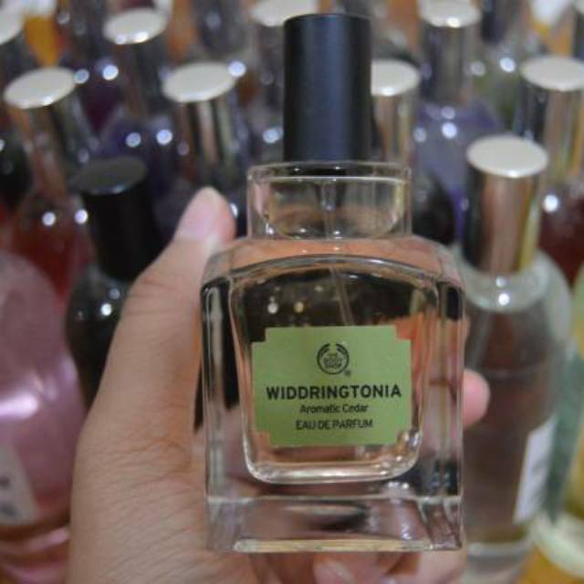 The Body Shop - EDP WIDDRINGTONIA - Bodyshop ORI Reject