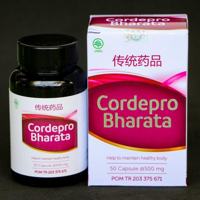 Obat sakit ginjal, ginjal bengkak, gagal ginjal herbal Cordepro
