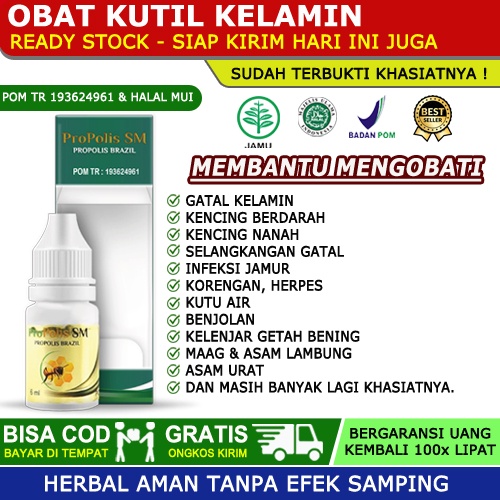 Obat Kutil Kelamin Sipilis Gonore Raja Singa Kencing Berdarah Bernanah Sakit Saat Buang Air Kecil In