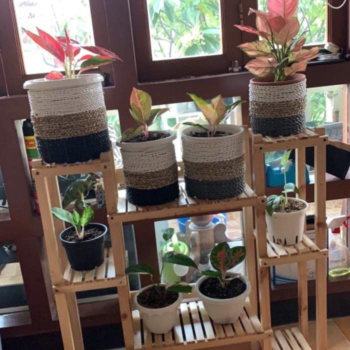 Rak Tanaman - Rak Tanaman Susun Kayu Standing Pot Minimalis