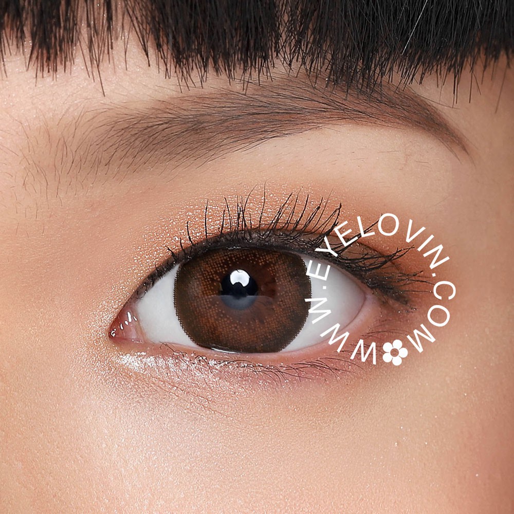 Eyelovin x Patricia Stephanie Softlens Neo Cosmo - Sage Xtra Brown N254