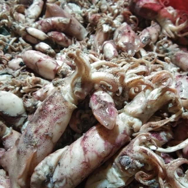 

Ikan asin cumi
