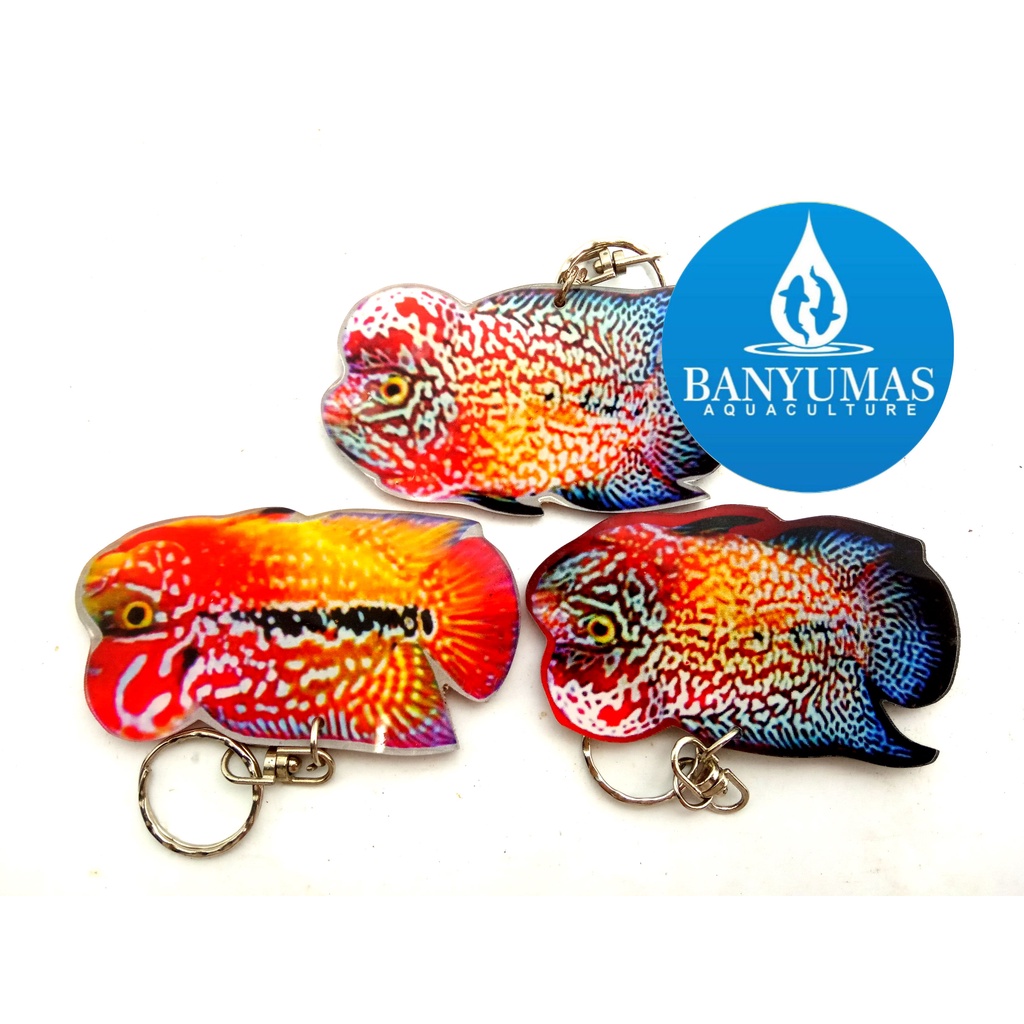 wayang louhan gantungan kunci tebal acrilik akrilik