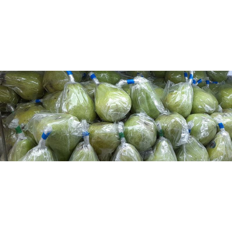 

Pear Packham argentina/buah pir