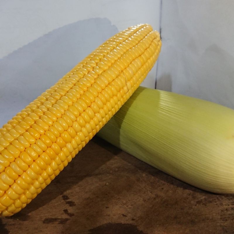 

Jagung Manis