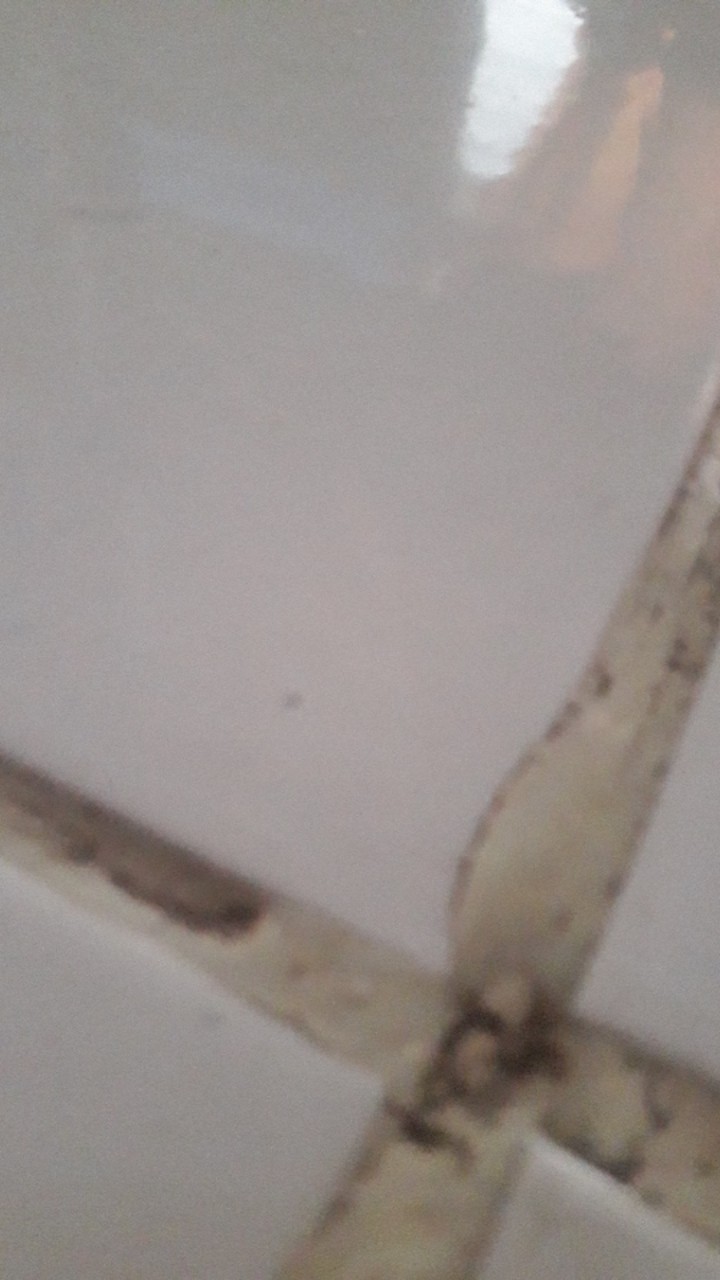 Gantungan Celana Dalam, Hanger Korean Underwear Pouch