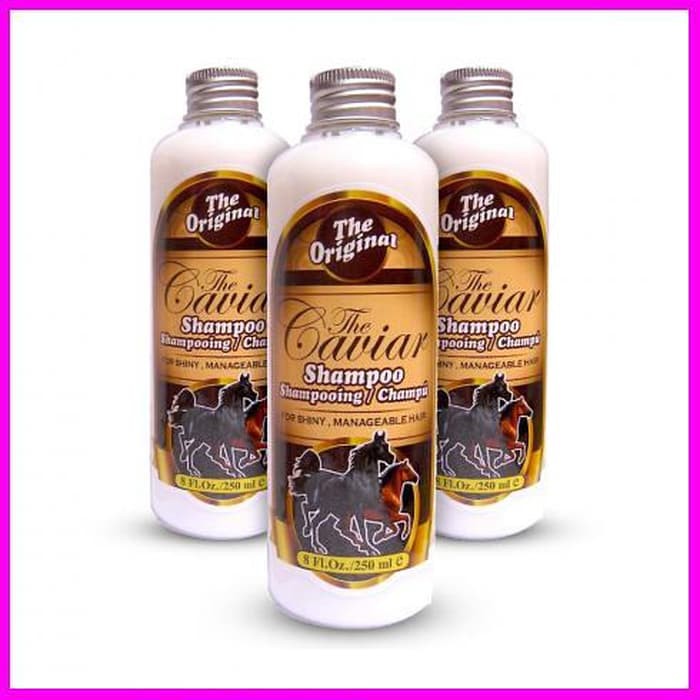 Shampoo Caviar Shampo Kuda Asli Original BPOM