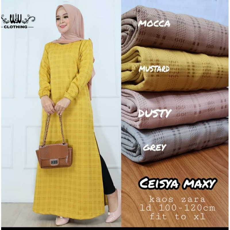Ceisya maxy