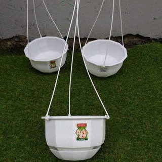  pot  bunga gantung  gardenia no 08 lionstar 22cm warna putih 