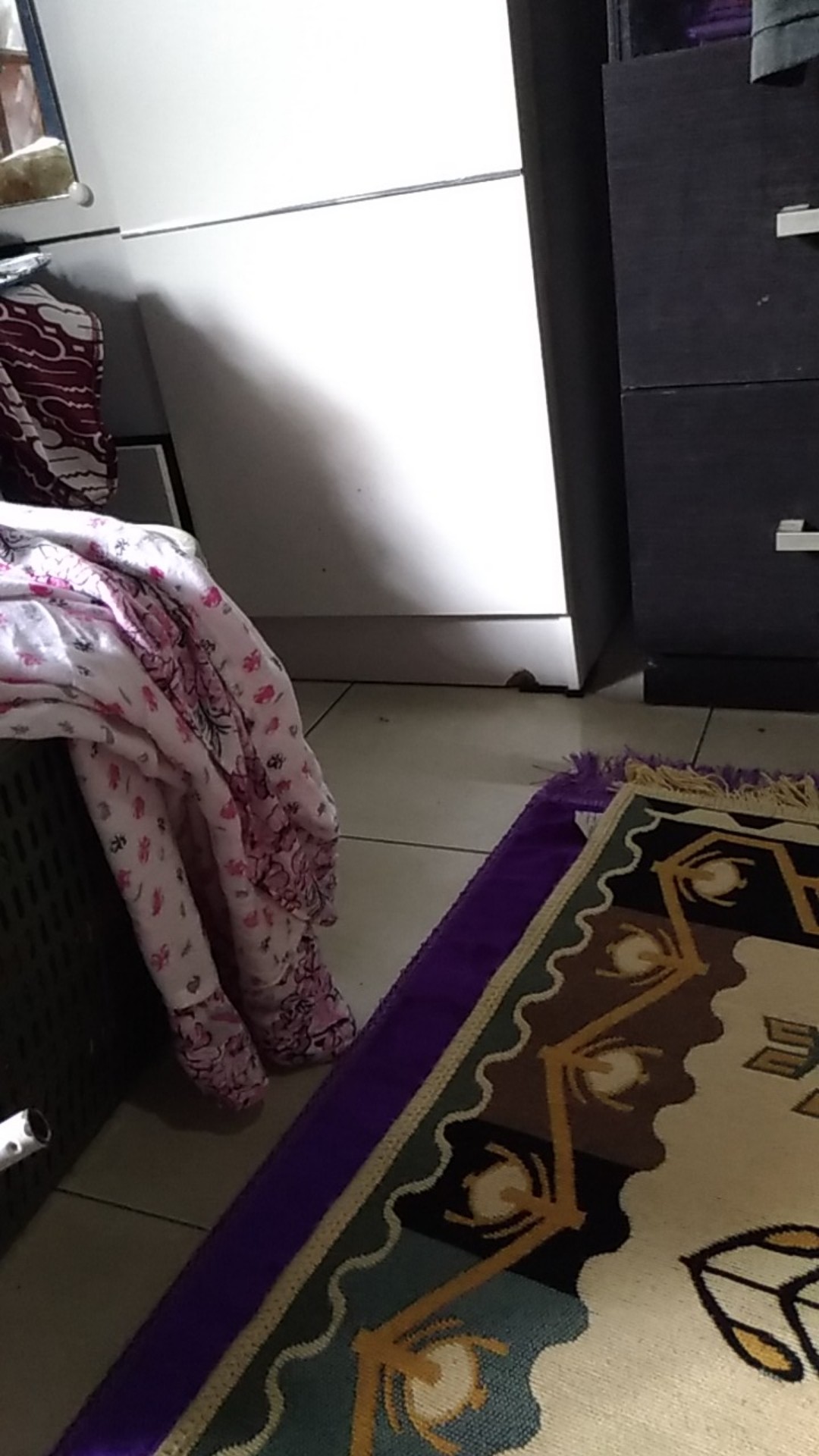 Saklar Engkel New Gee Outbow Segi 16210 Brocco