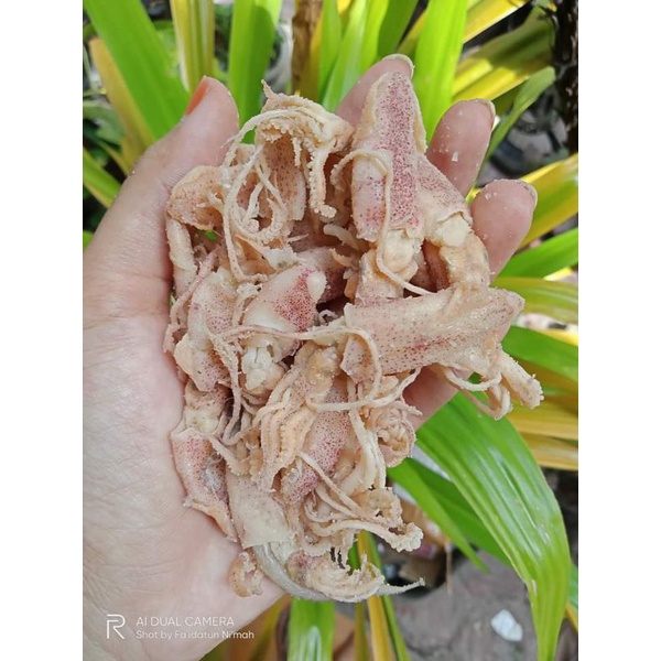 

Baby Cumi asin 100gr