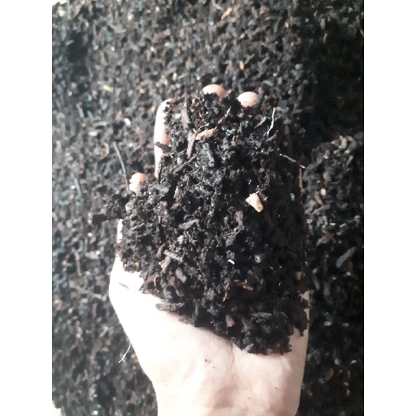 Media tanam Kompos Klenteng Randu