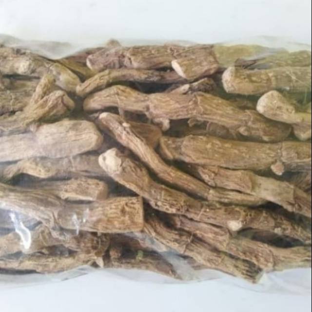 

Rimpang Dlingu Kering Delingu Delingo Asli Herbal Kualitas Bagus