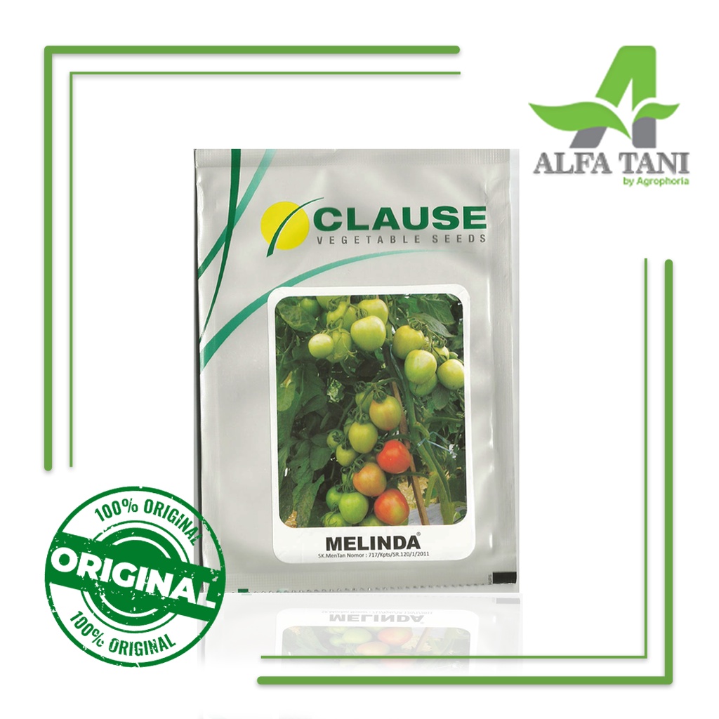 Benih Tomat Dataran Rendah / Tomat Melinda 5 gram - CLAUSE