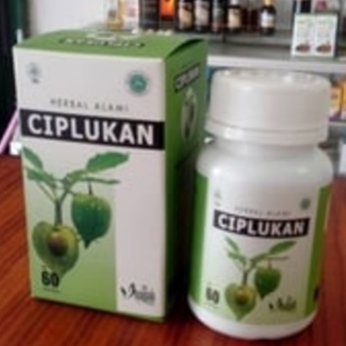 Ciplukan / Kapsul Daun Ciplukan