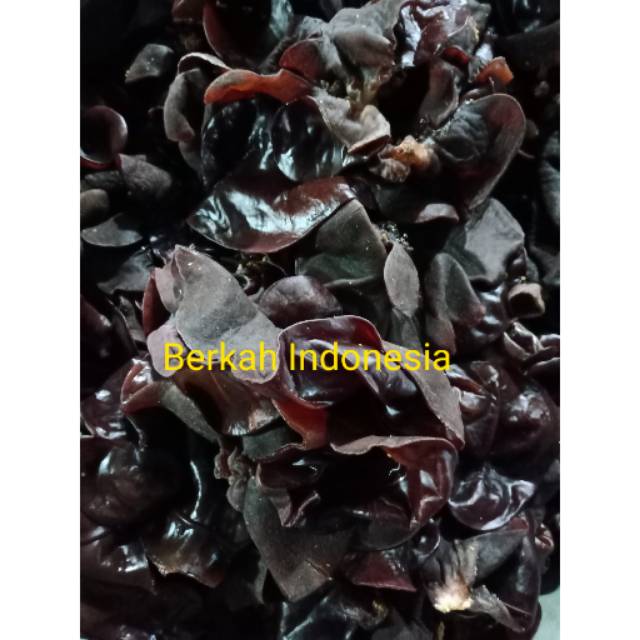 

Jamur Kuping 500 gram