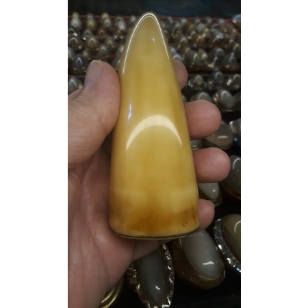 Taring Paus lawas kristal