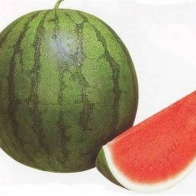 

Semangka non biji