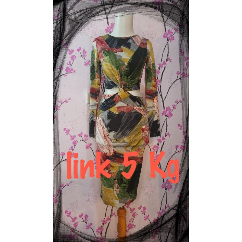 

Link 5 KG