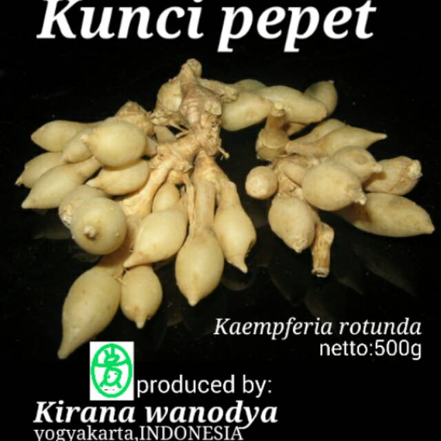 

Kirana - Kunci Pepet Bubuk 500g