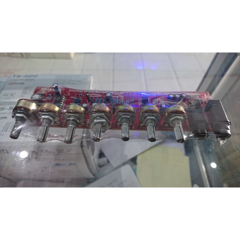 DIGITAL ECHO REPEAT DMS 619 2MIC
