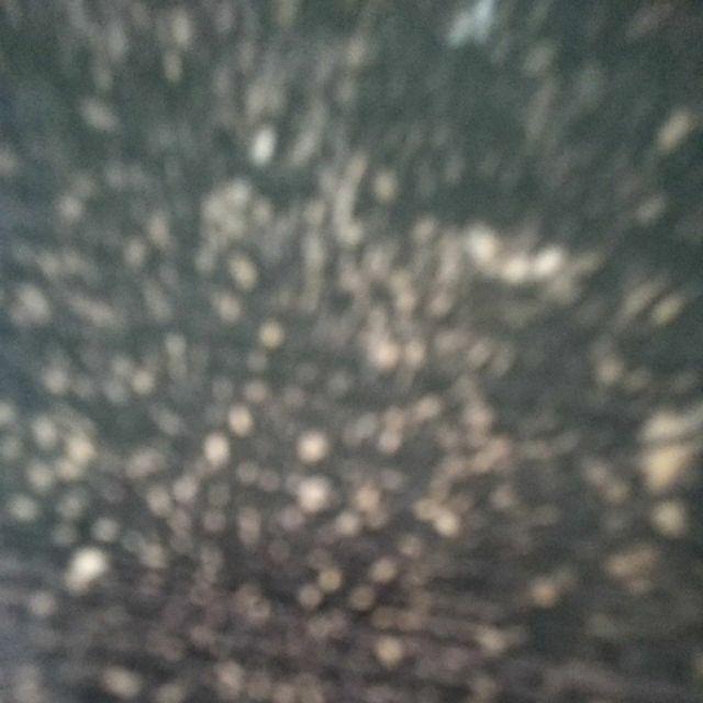 Counting Chamber Neubauer/ Kamar Hitung Hemositometer/ Haemocytometer