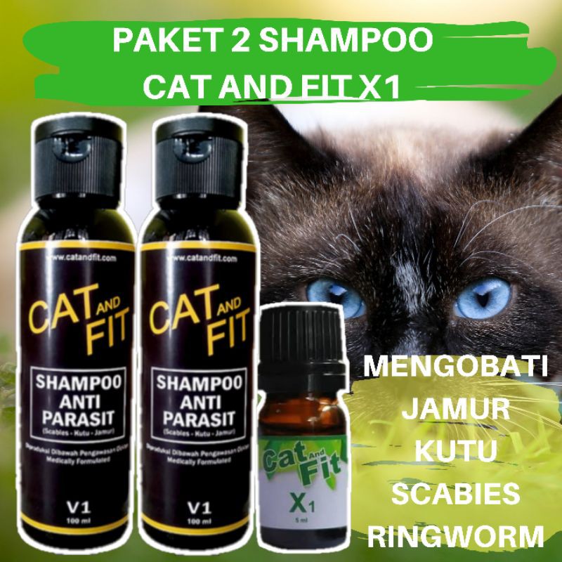 PAKET SHAMPOO DAN CAT AND FIT X1 UNTUK OBAT JAMUR KUTU SCABIES RINGWORM KUCING