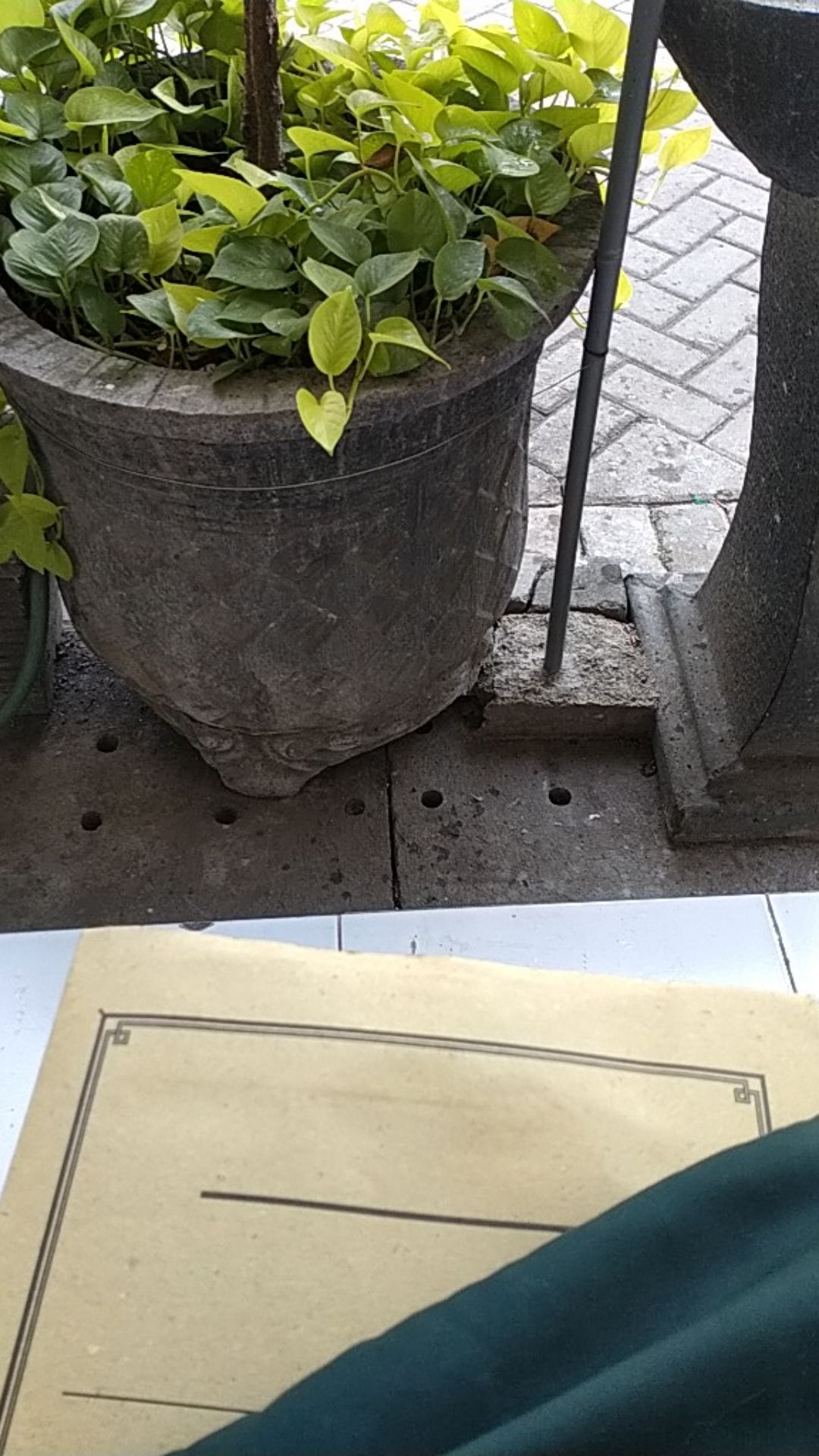 Gantungan Baju Kamar Mandi Handuk Dinding Tempel Kapstok Soligen