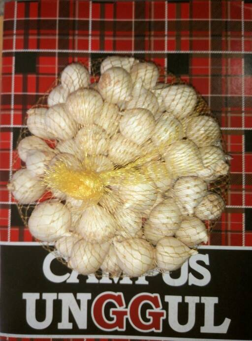 

Bawang Putih Tunggal / Bawang Lanang -Bawang Kesehatan Herbal 500gr
