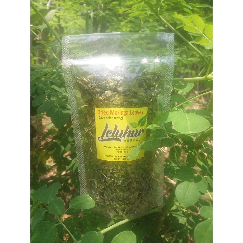 

Teh Kelor (Teh Kesehatan, Organik, Leluhur)