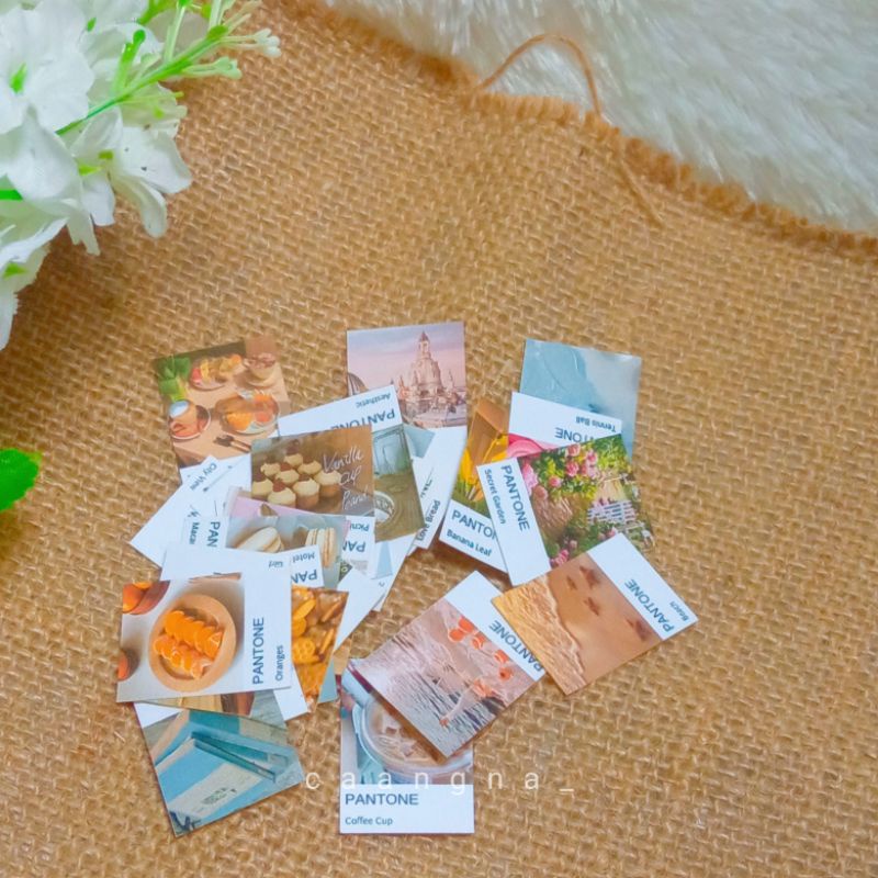 

10 pcs sticker pantone mini / stiker pantone / mini stiker pantone
