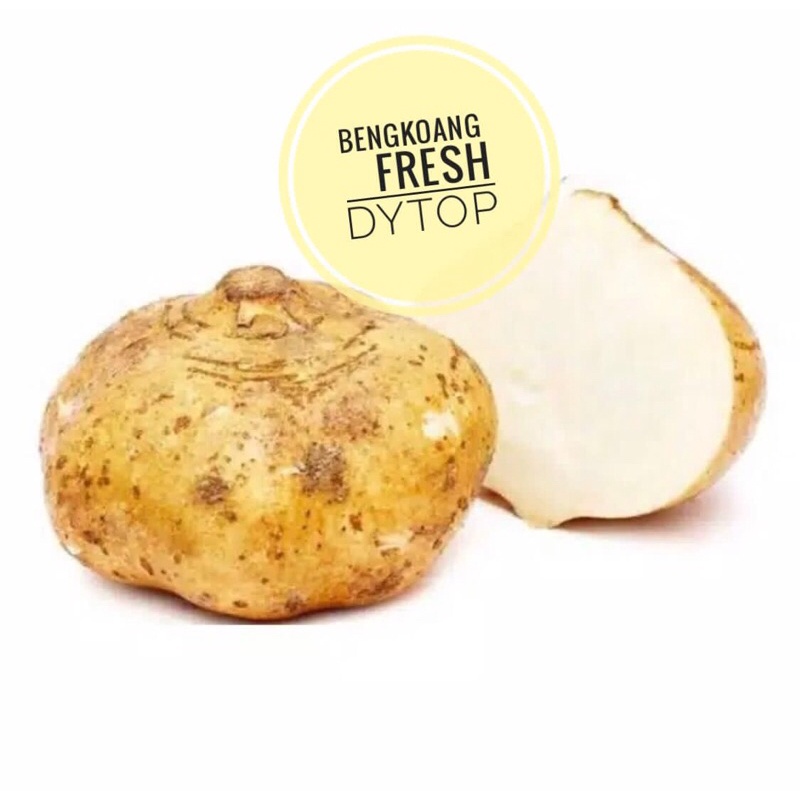

Bengkoang Bengkuang Fresh Segar - 500 Gram