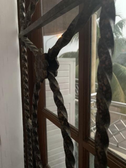 Nippon Cat Pylox Basics 300cc Semprot Spray Pilox Piloks Plastik Besi Motor Mobil