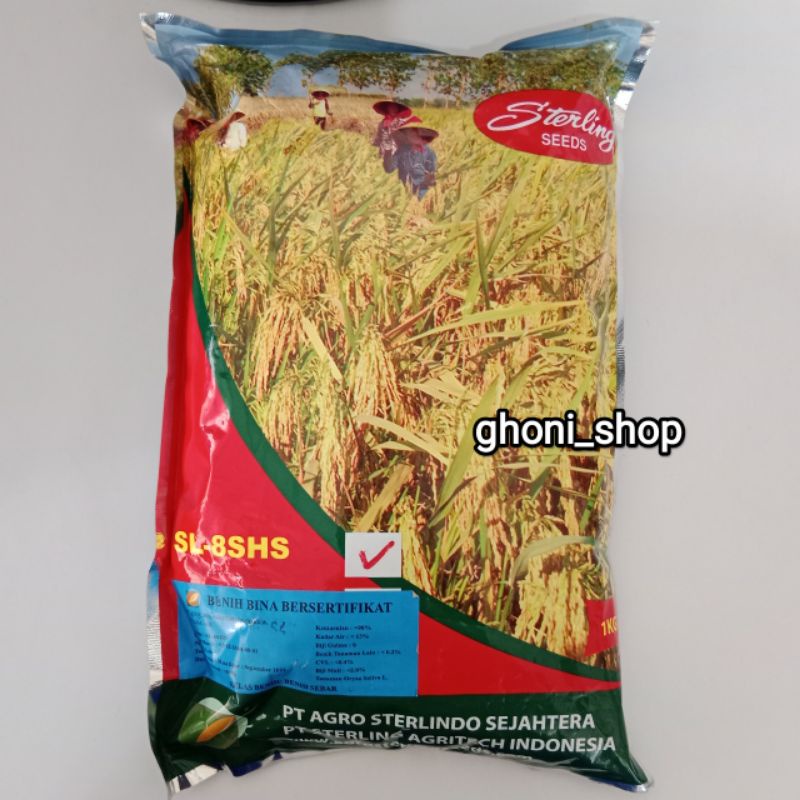 benih padi sl8shs Sterling