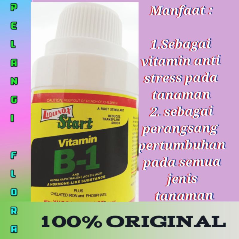 VITAMIN B1 L   IQUINOX START - 100 ML / PUPUK ANTI STRESS TANAMAN