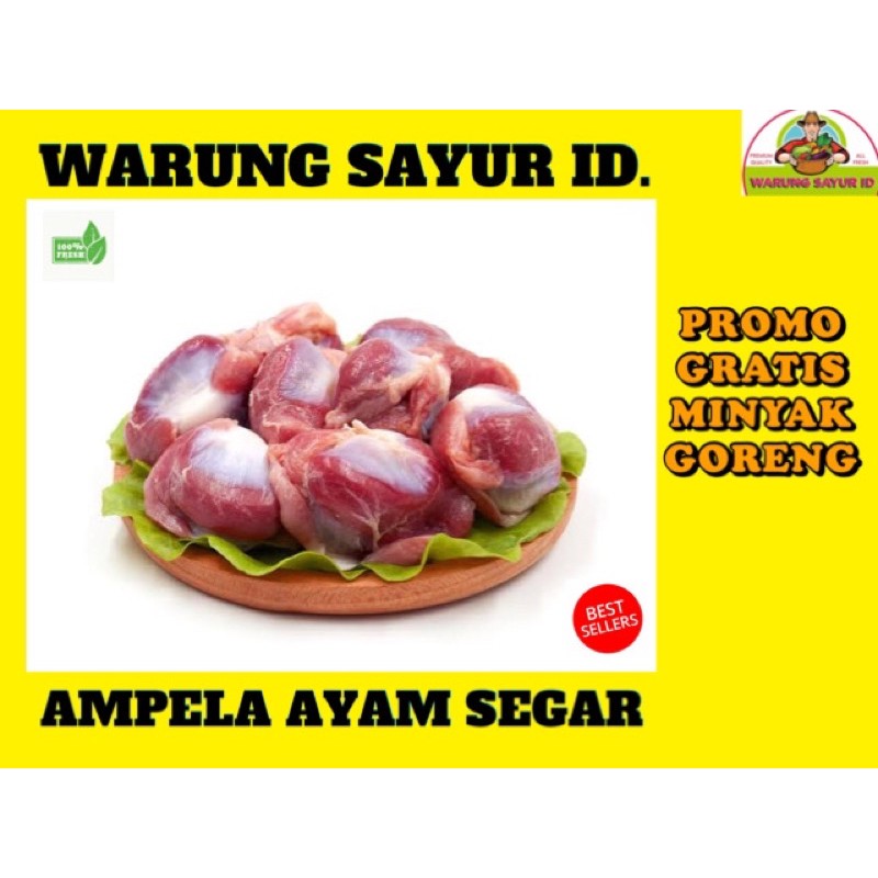 

AMPELA AYAM SEGAR 500 GRAM / BUKAN AYAM FROZEN