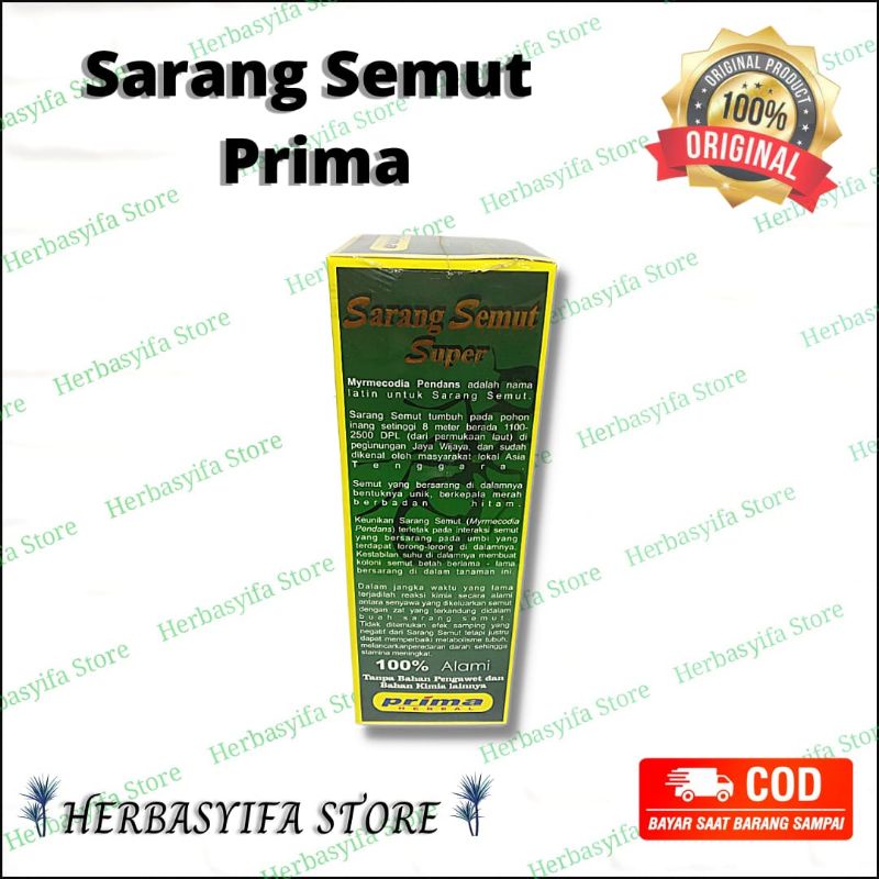 Sarang Semut Super Prima 500 ml - Sarang semut cair obat kanker tumor