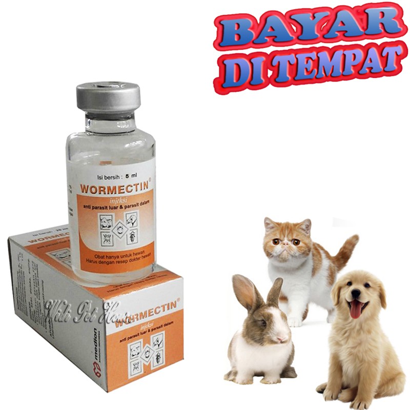 Obat Scabies Anjing Kucing Kelinci Hewan Injeksi WORMECTIN 5 ML Sakit Koreng Jamur Gudikan