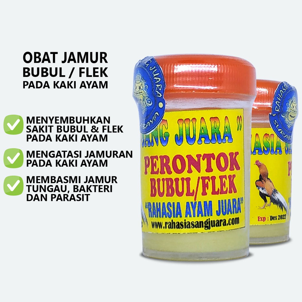 OBAT BUBUL AYAM BANGKOK ADUAN AMPUH MENYEMBUHKAN BUBULAN PADA KAKI AYAM BANGKOK