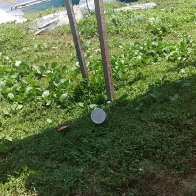 Tunik Bunga Salur  Tunik Batik Cantik Tunic Batik Modern Seragam Batik Kerja Kantor Terbaru Elegan