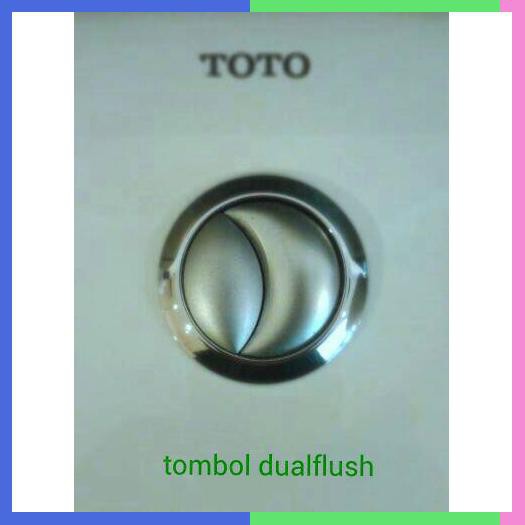 Dual Flush Geberit Toto