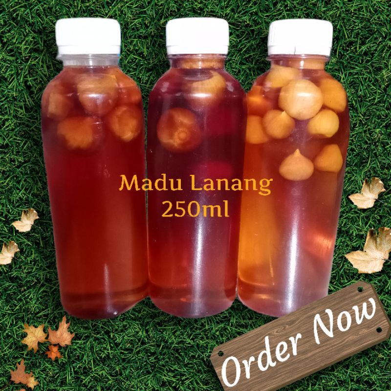 

Madu Melifera murni / Madu Lanang 250ml / Madu apis mellifera
