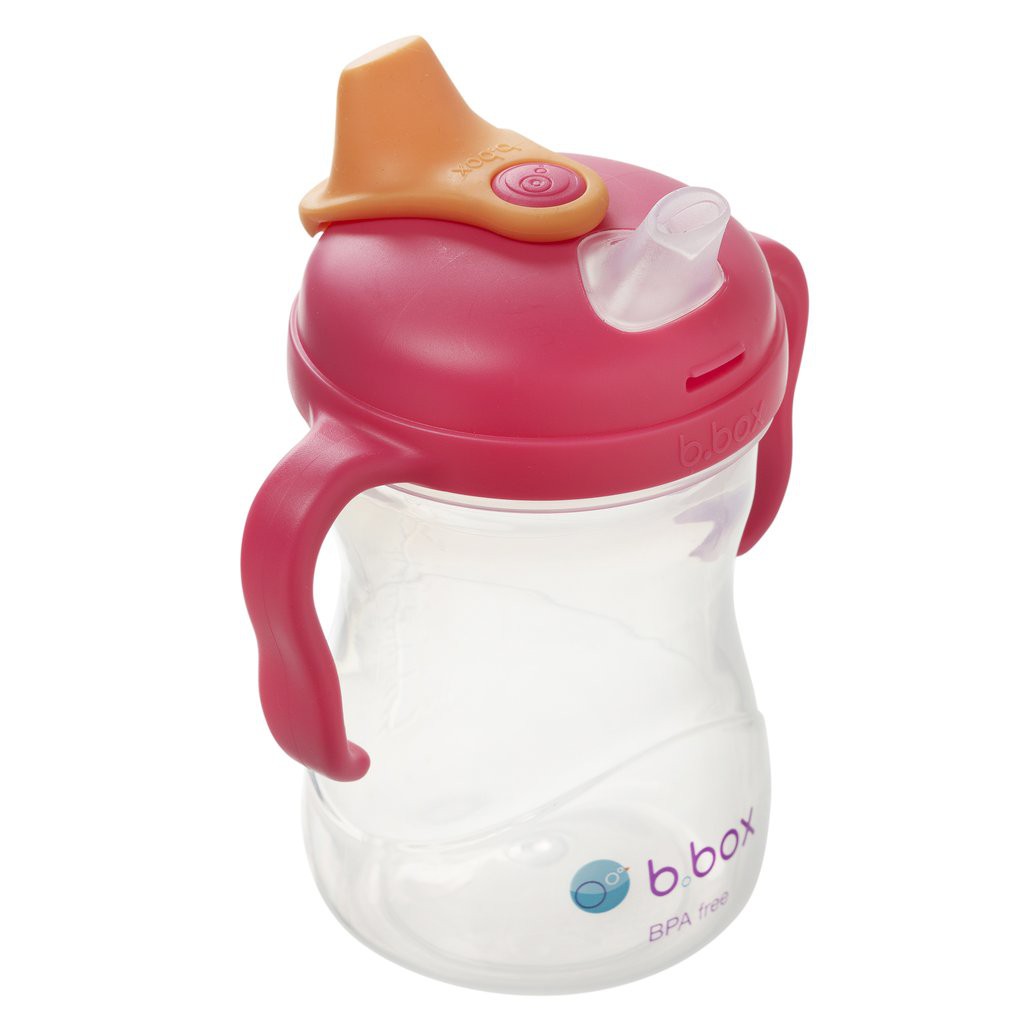 B. Box - Spout Cup 240ml