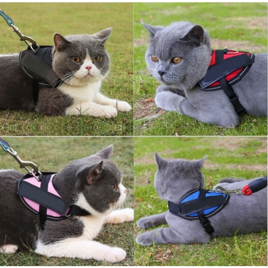 HARNESS ANJING KUCING dog harness reflective rompi hewan nylon tali tuntun