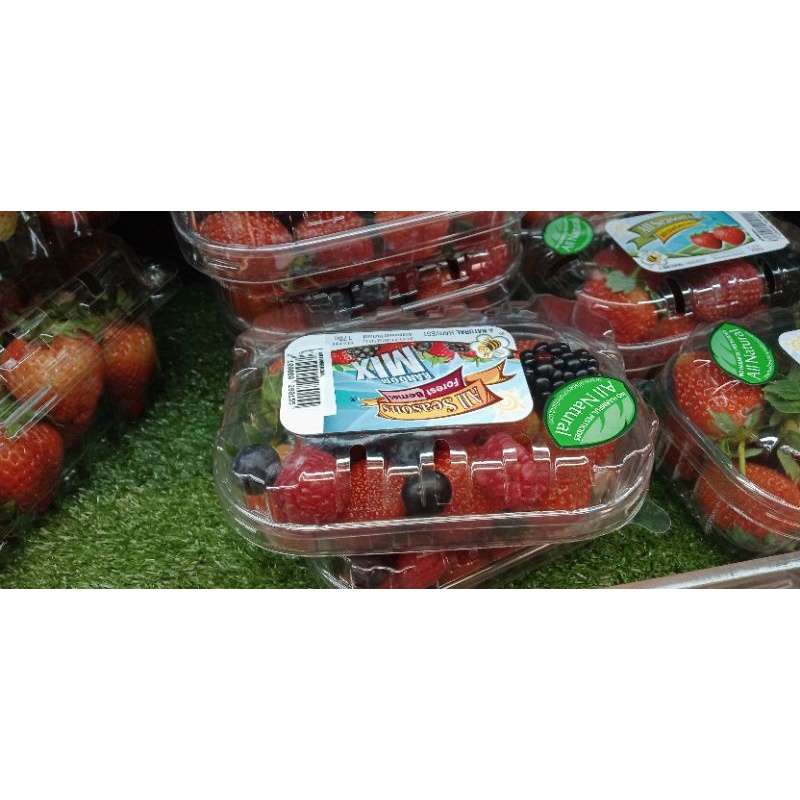 

forest berie random mix